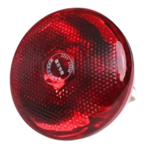 Ampoule de Physiothérapie Infrarouge 250W
